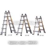 4тэй Солонгос шат