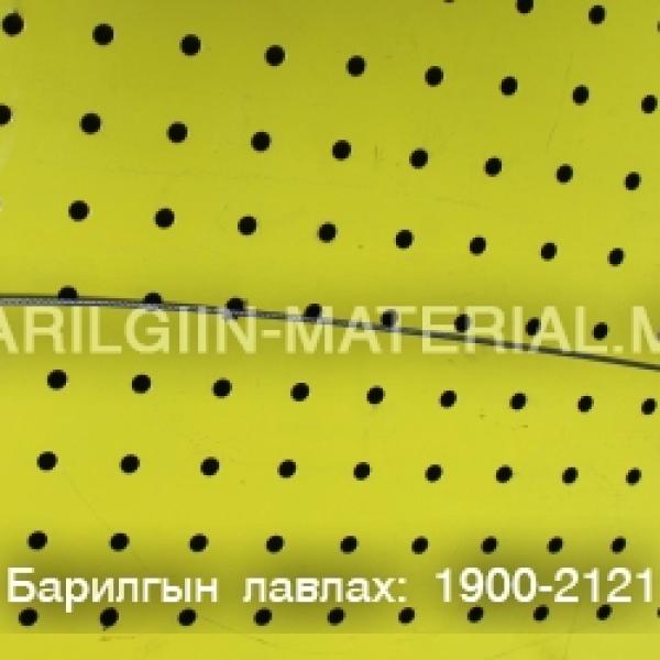 лац троссон 40см