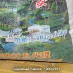 Цагаан замаск