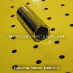 16-н дорцовон толгой