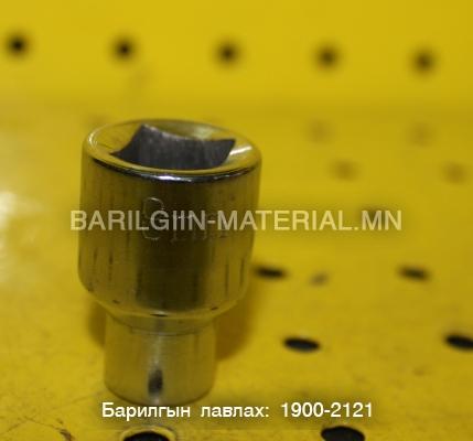 8-н дорцовон толгой